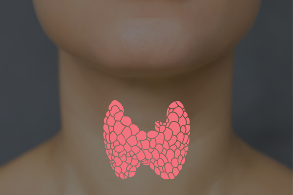 Thyroid