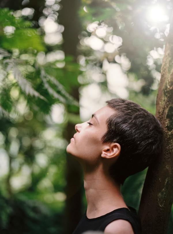 mindful forest
