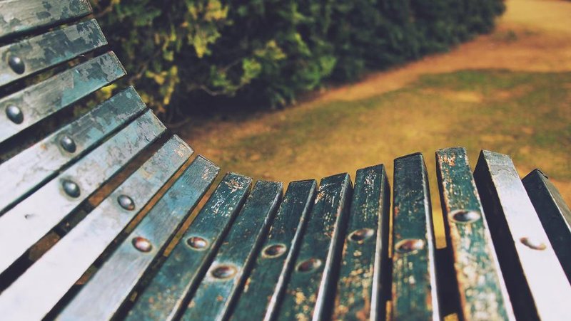 An empty wooden bench beside grass and shrubs