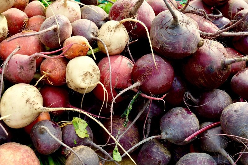 A pile of fresh red, purple and golden beetroots with roots attached