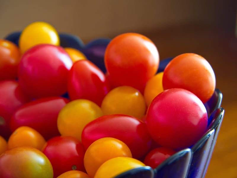 Red, orange and yellow tomatoes in a blue bowl