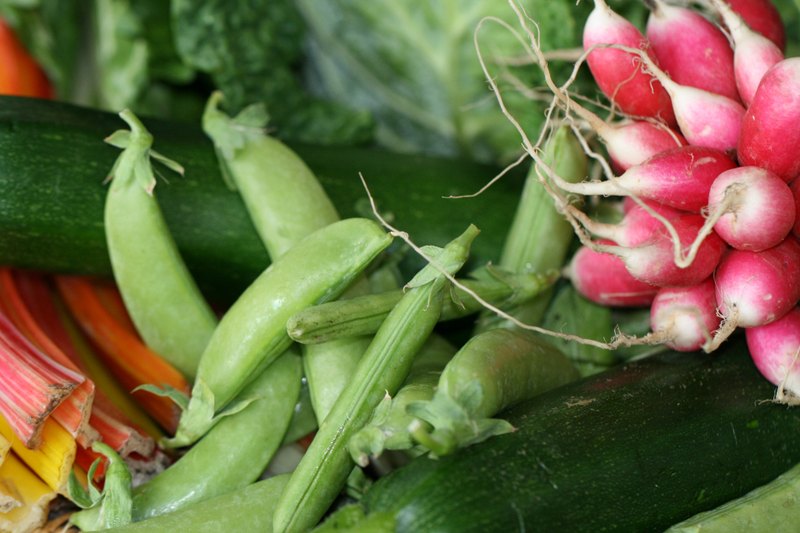 Radishes, peas, cucumber and leafy vegetables