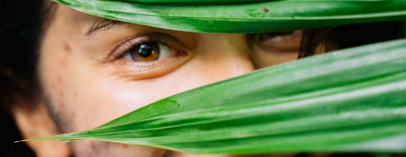 A woman's eye framed by green leaves