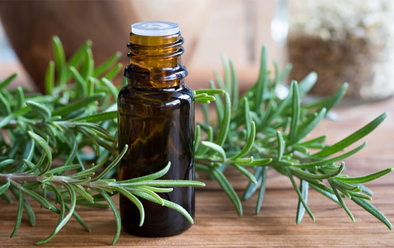 Rosemary sprigs beside a small amber bottle