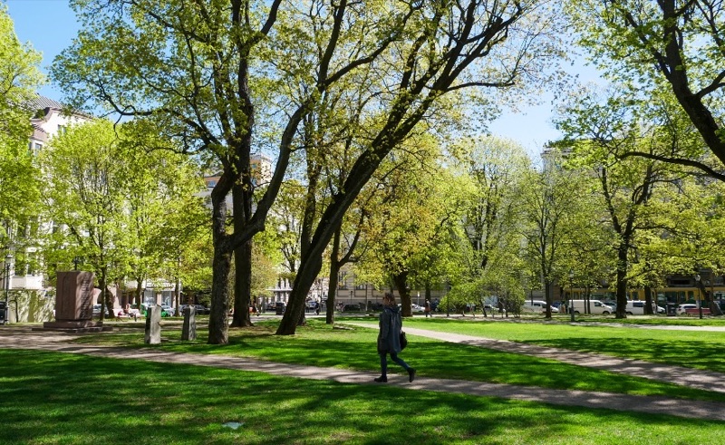 A person walking along a path through a green, sunlit city park