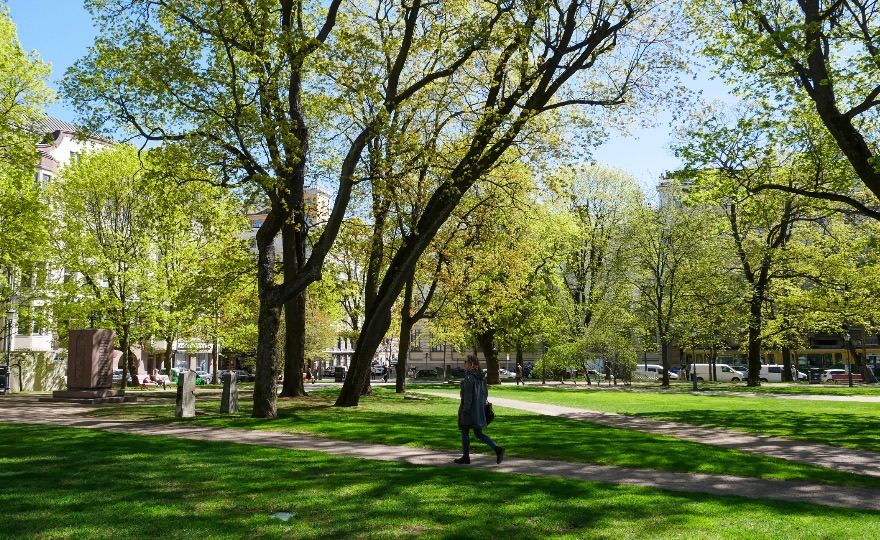 A person walking along a path through a green, sunlit city park