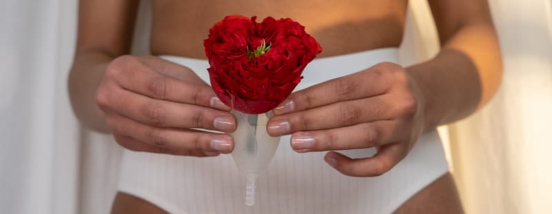 A person holding a red flower in front of their lower abdomen