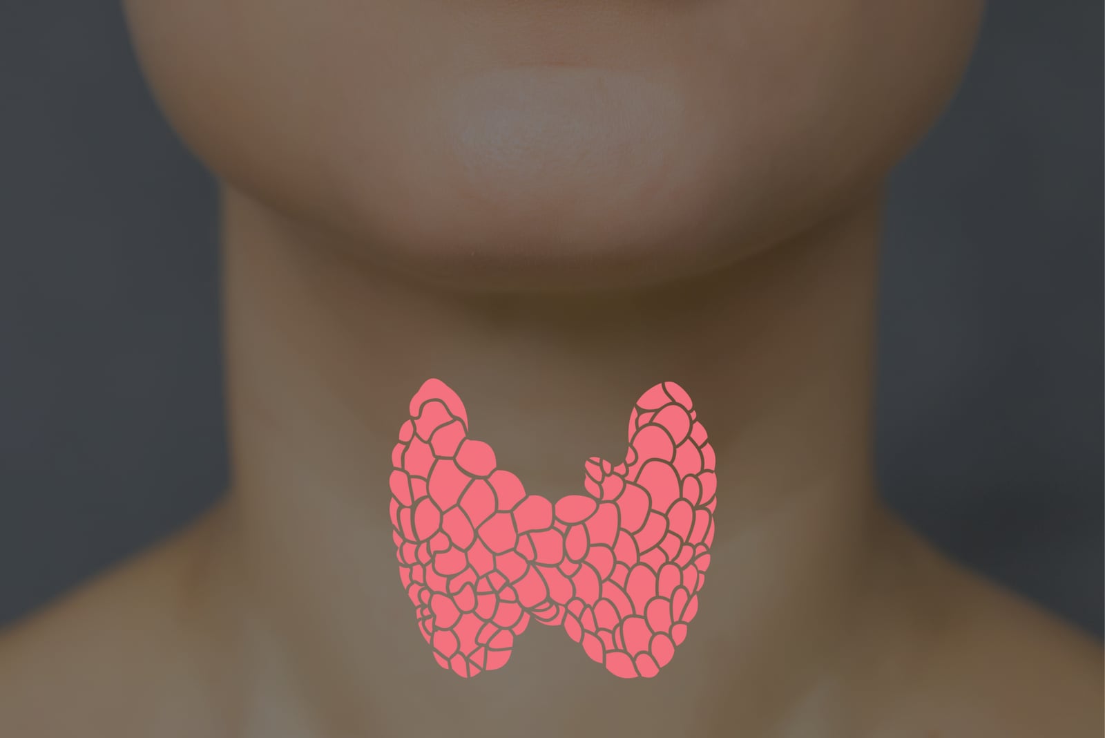 Illustration of the thyroid gland over a person's neck
